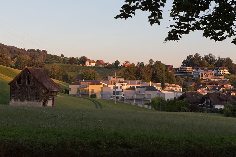 Rembach im Morgenlicht