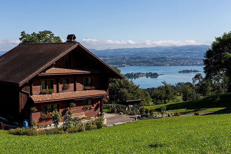 Blick auf den Zürichsee