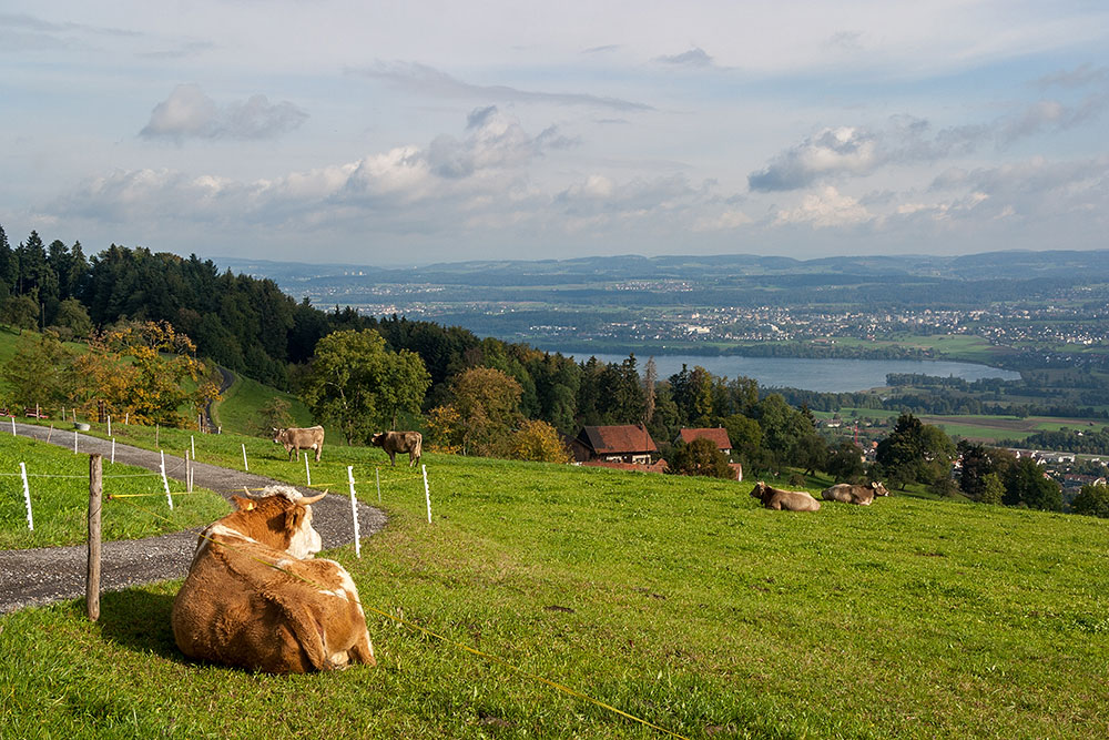 Ausblick Pfannenstiel