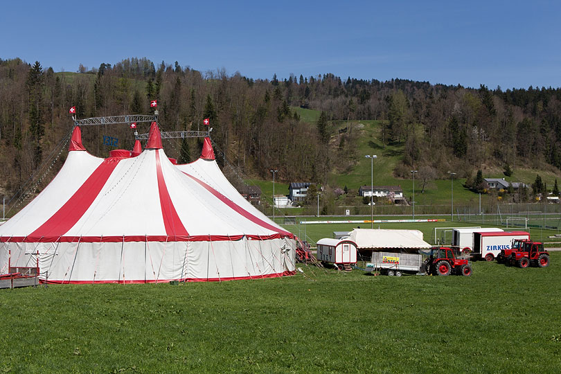 Zirkus Stey in Bauma