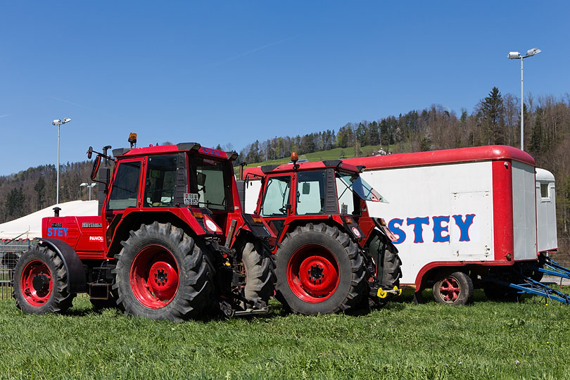 Zirkus Stey in Bauma