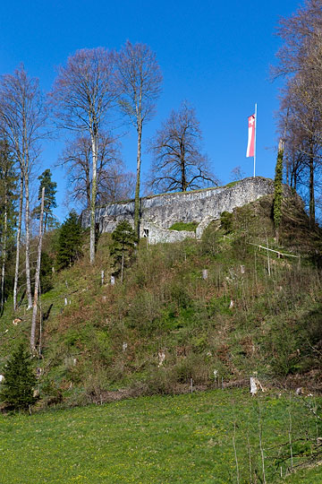 Burgruine Altlandenberg