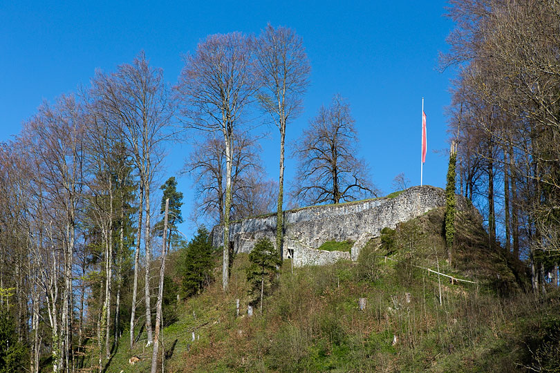 Burgruine Altlandenberg