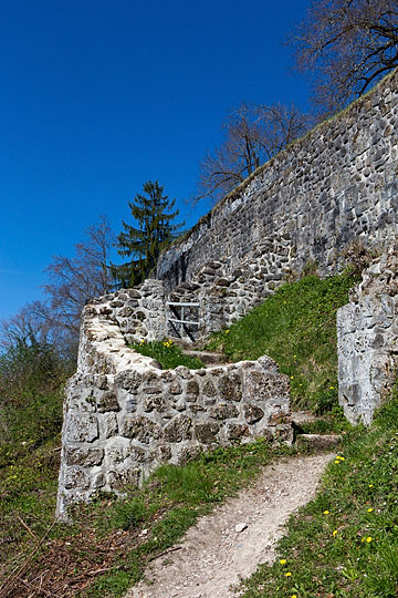 Burgruine Altlandenberg