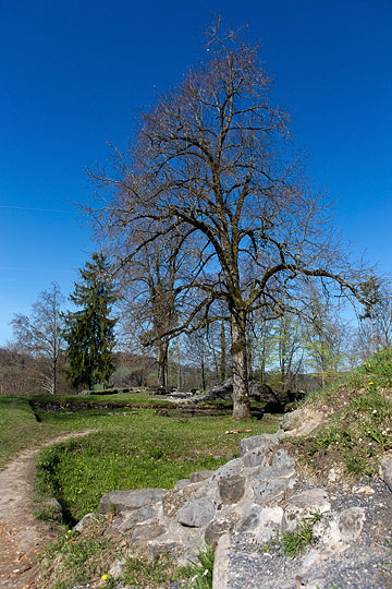 Burgruine Altlandenberg