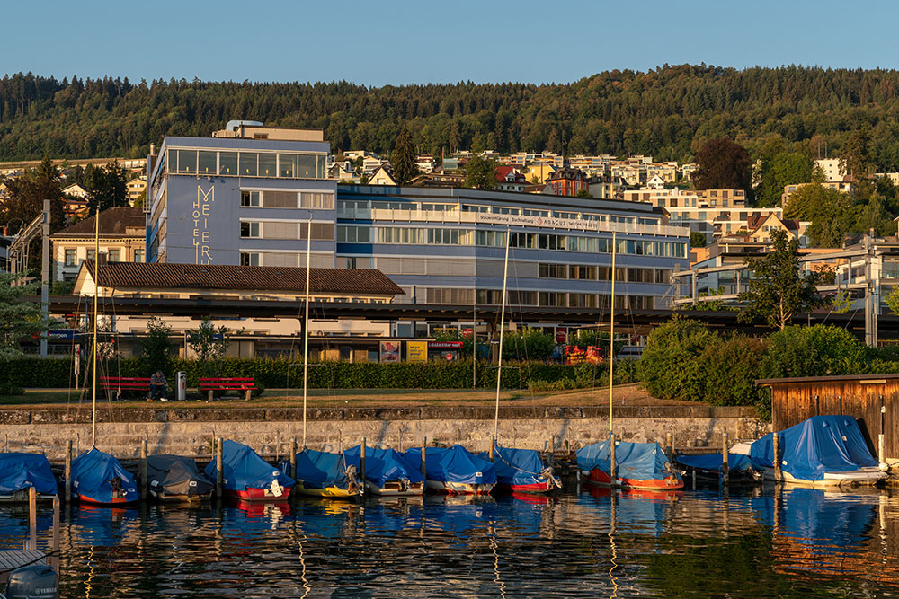 Bootshafen in Horgen