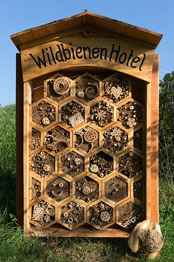 Wildbienen-Hotel Spreitenbach