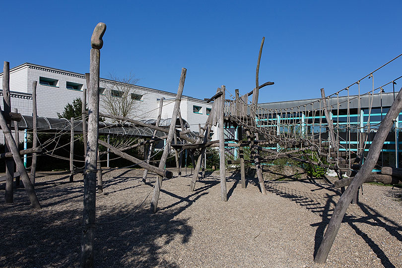 Schulanlage Brotkorb in Stein AG