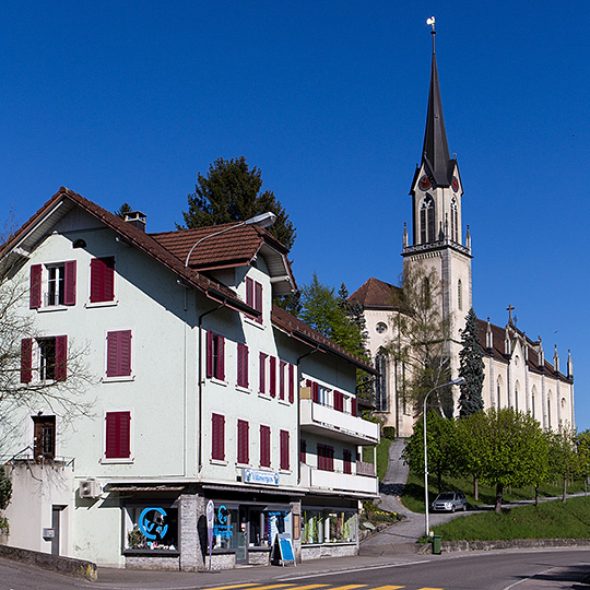 Pfarrkirche St. Peter und Paul in Villmergen