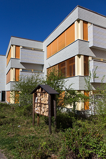 Schulhaus Hof in Villmergen