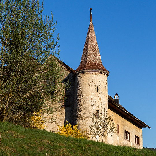 Schloss Hilfikon