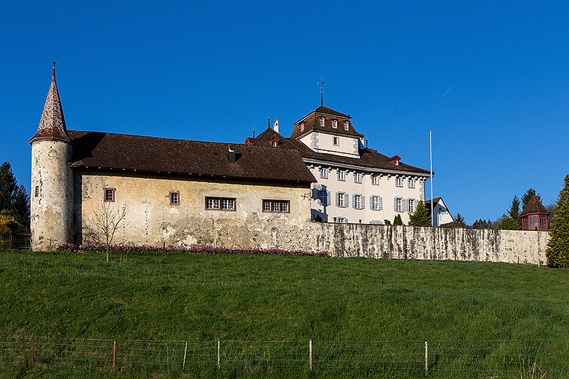 Schloss Hilfikon