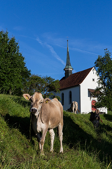 Martinskapelle in Boswil