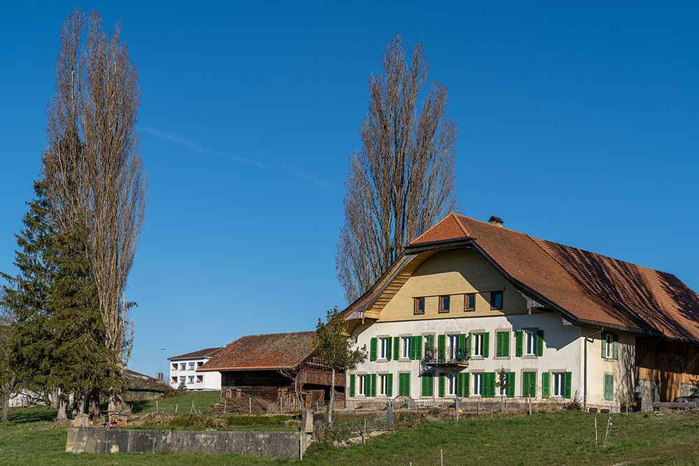 Ferme à Praroman