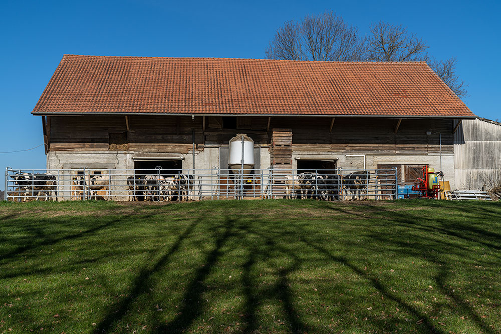 Stall in Tentlingen