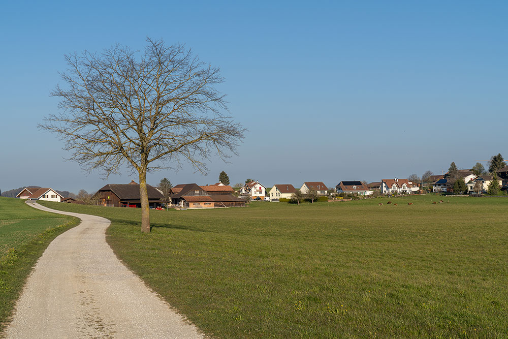 Flurweg nach Elswil