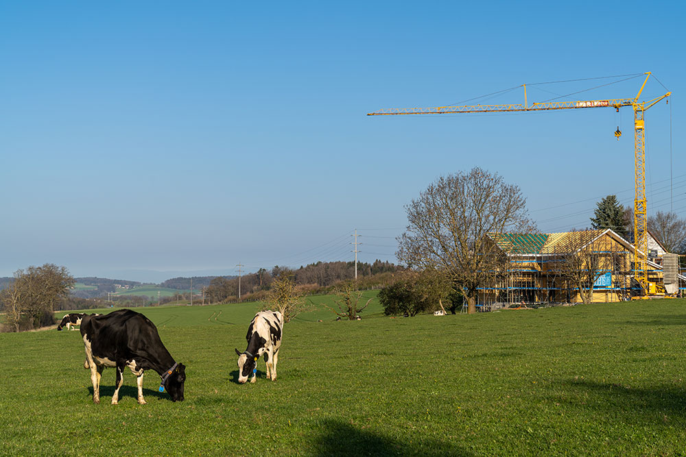 Weideland in Elswil