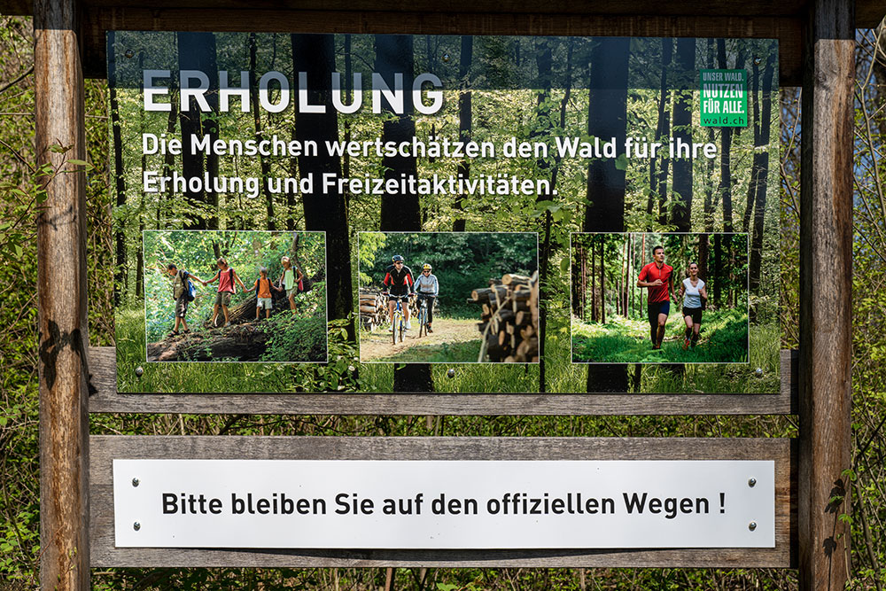 Erholung im Wald