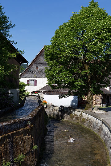 Le ruisseau du Folpotat