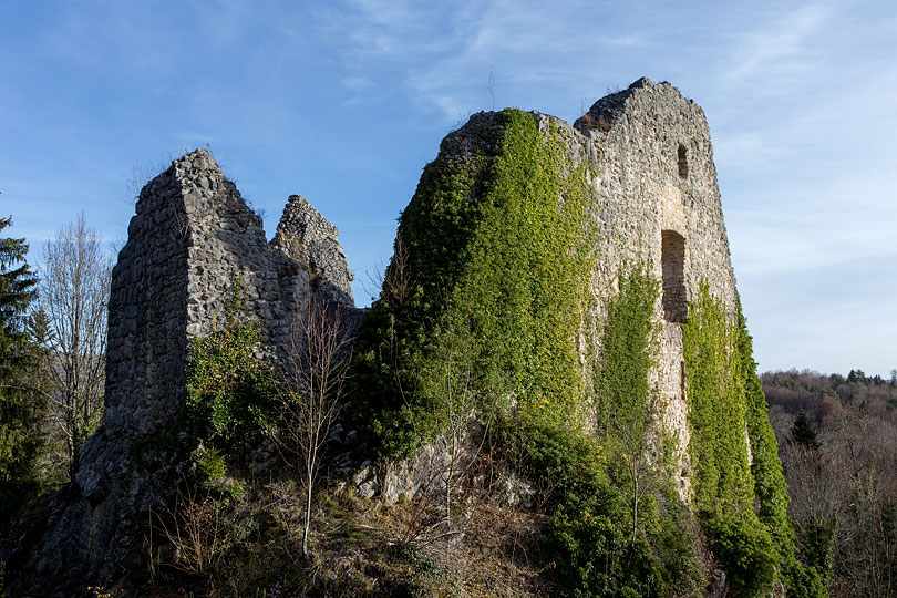 Ruine de Löwenburg