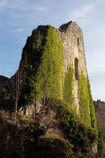 Ruine de Löwenburg