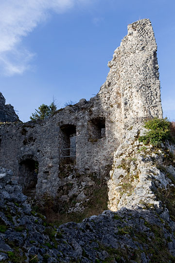 Ruine de Löwenburg