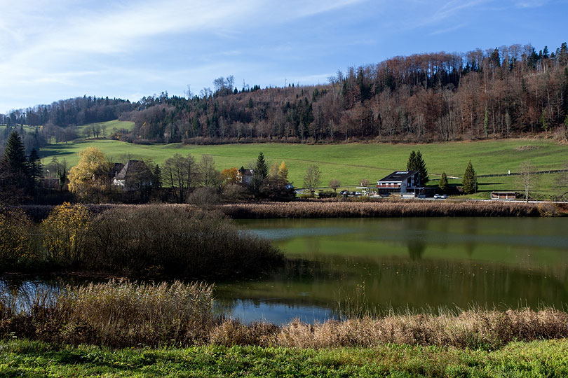 Etang de Lucelle