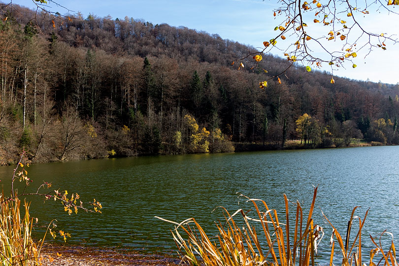 Etang de Lucelle