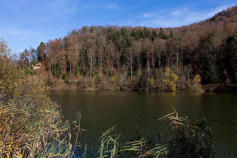 Etang de Lucelle