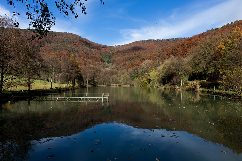 Etang de la Réselle Soyhières