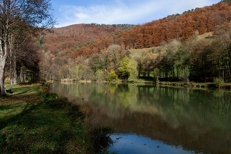 Etang de la Réselle Soyhières