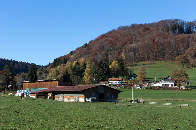 Chemin de la Peut-Rive