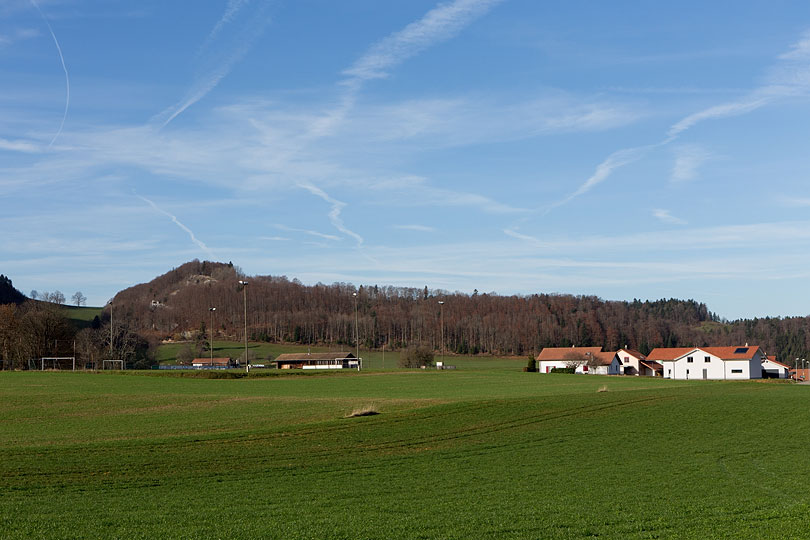 Bourrignon