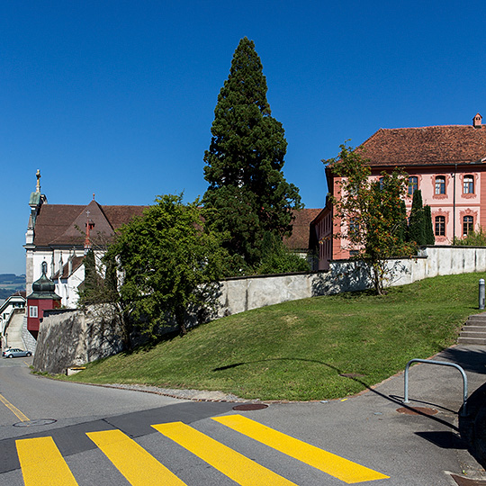 Pfarrkirche und Kommende in Hitzkirch