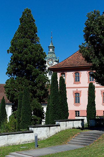 Pfarrkirche und Kommende in Hitzkirch