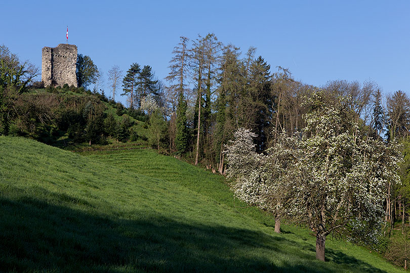 Burgstock in Rheineck