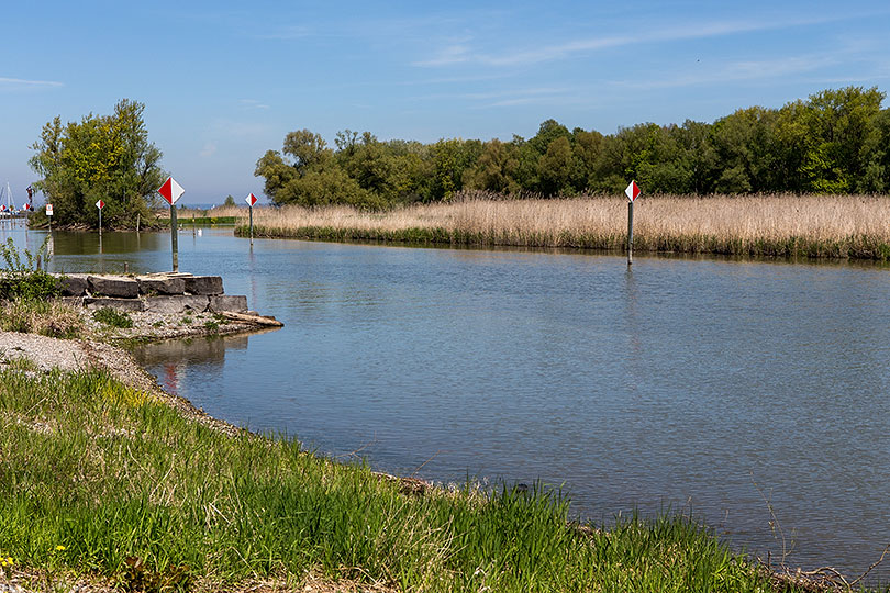 der Alte Rhein