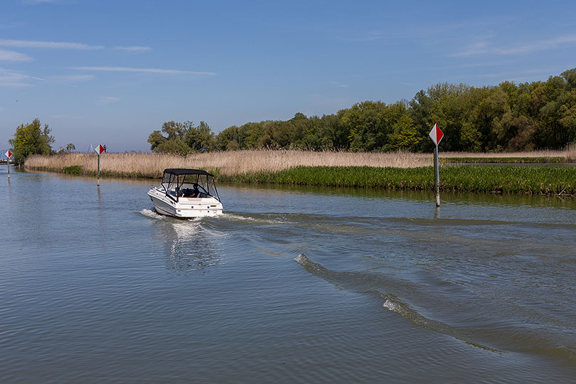 der Alte Rhein