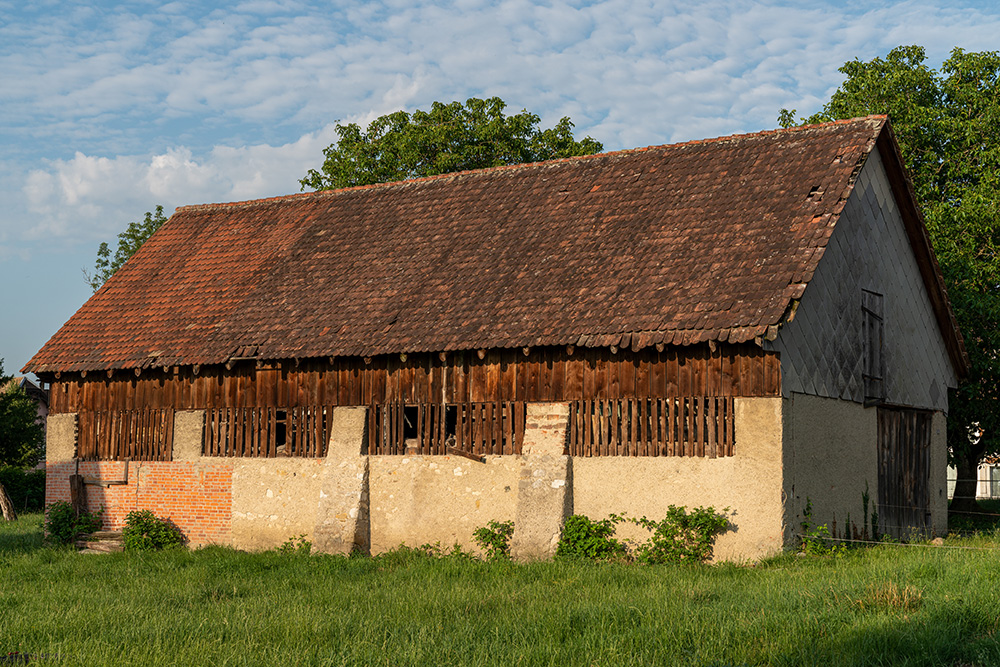 Selzach