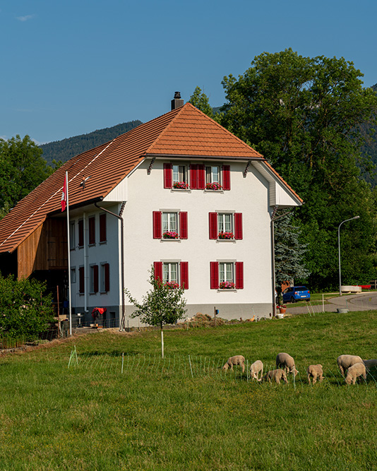 Bauernhof in Selzach