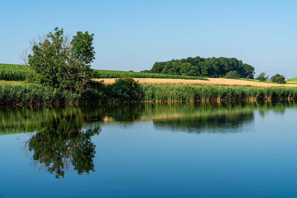 Bellacher Weiher