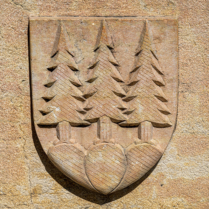 Steinrelief des Wappen von Olten