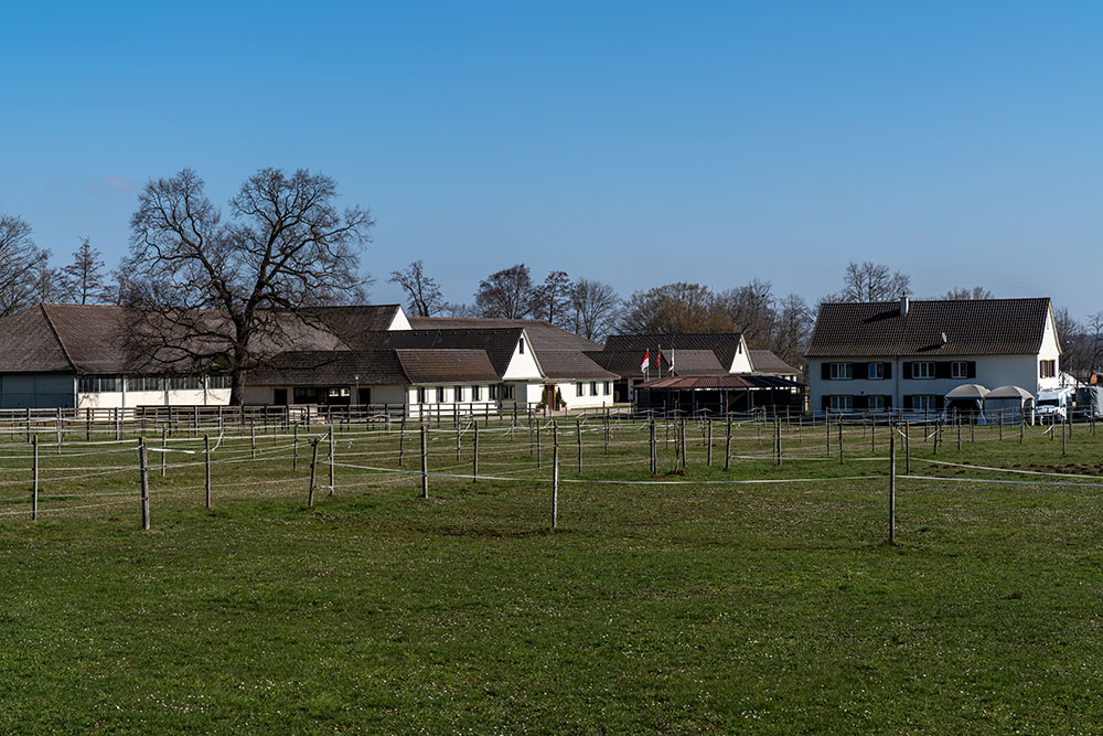 Reitsportzentrum in Bättwil