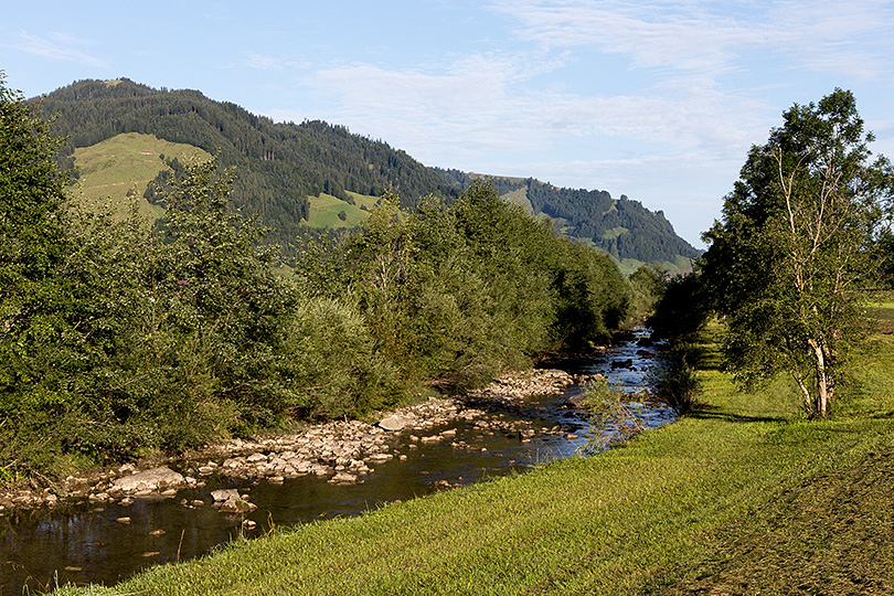 Sihl bei Studen