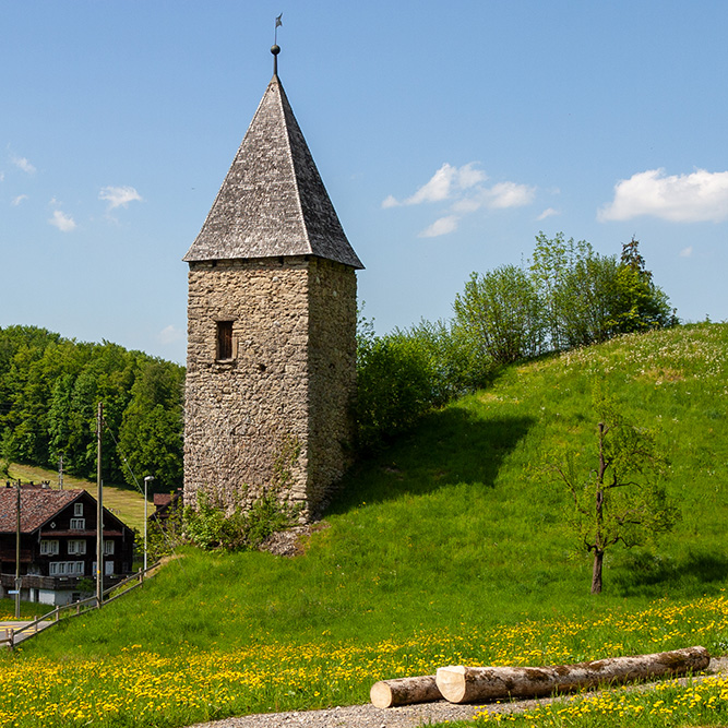 Letzitutm im Morgarten