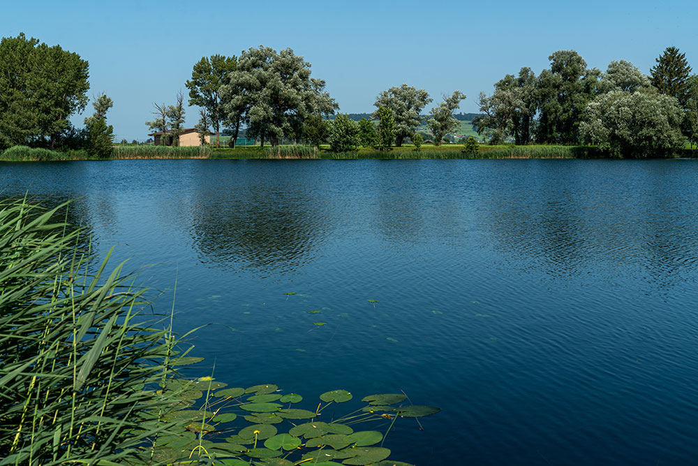 Hirschlensee