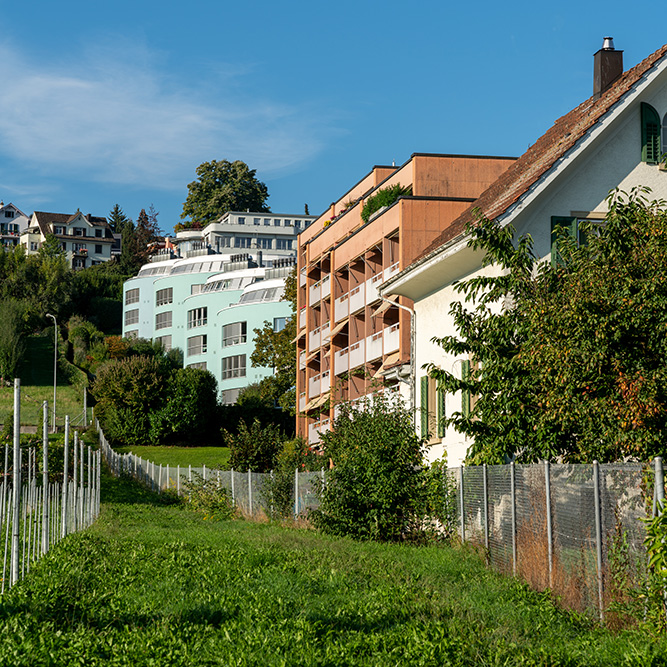 Wädenswil