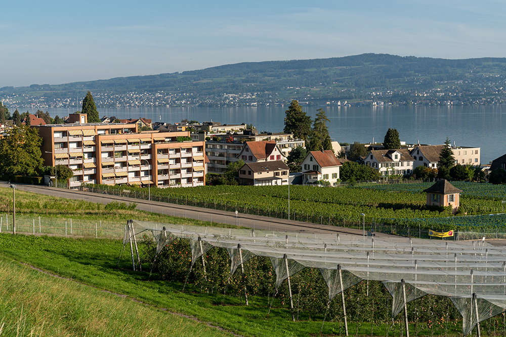 Wädenswil