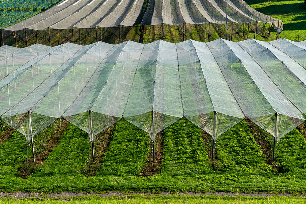 Agroscope in Wädenswil