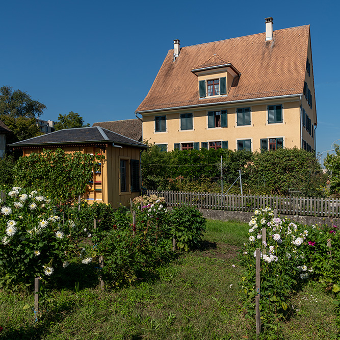 Wädenswil